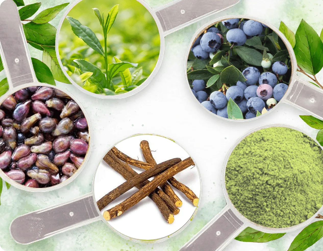 Neuro Serge — 20+ Clinically Proven Ingredients